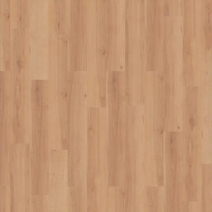 TH_3976020_001_800_800