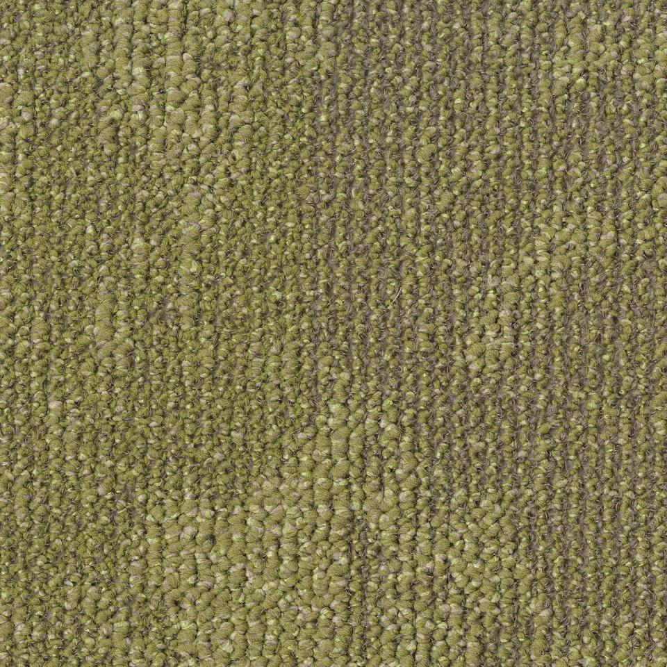 TH_DesertAirMaster_7082